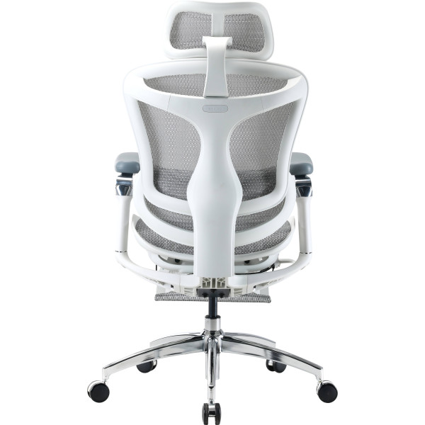 Фото - Крісло офісне Sihoo DORO C300 Pro Mesh White with footrest (DORO-C300-PRO-M102-JT)