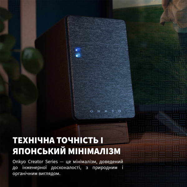 Фото - Компьютерная акустика обычная 2.0 Onkyo Creator Series GX-10DB Black (GX10DBBCUU)