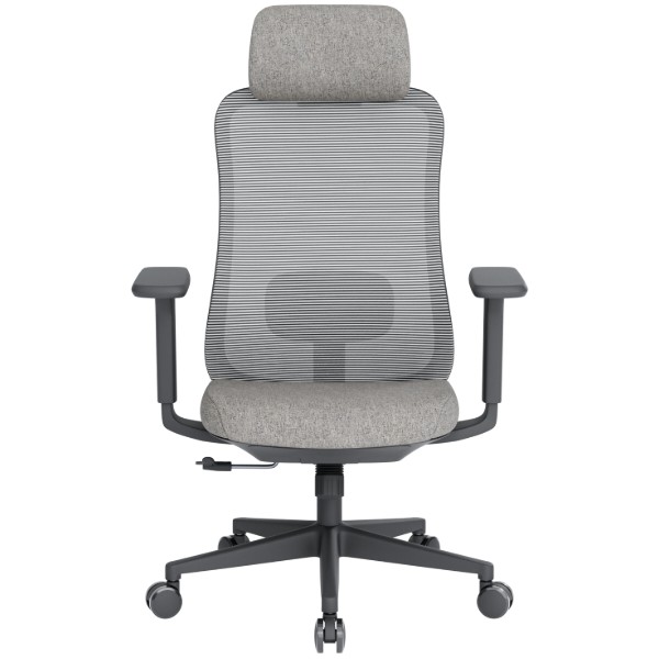 Фото - Крісло офісне OfficePro Wave (OC599-B-DG-DG) Black/Dark Gray