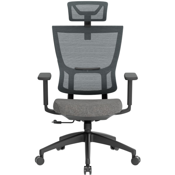 Фото - Кресло офисное OfficePro Elegant (OC600-B-DG-DG) Black/Dark Gray