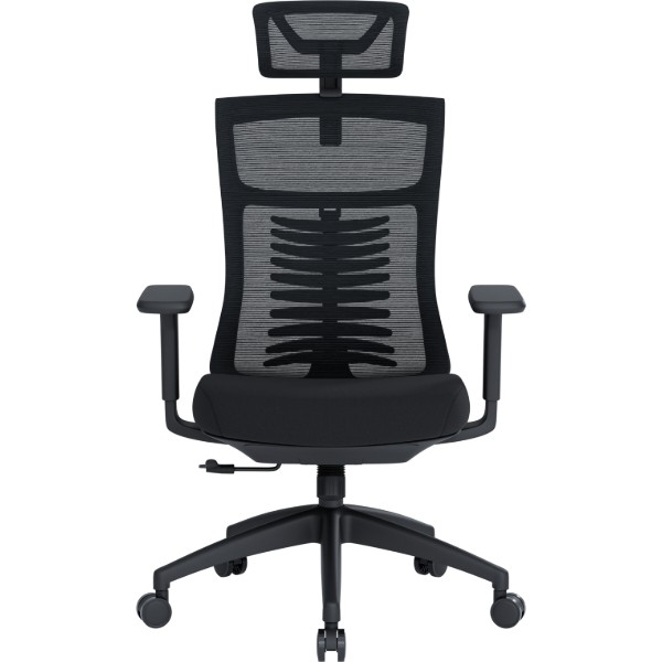 Фото - Кресло офисное OfficePro Balance (OC550-B-B-B) Black