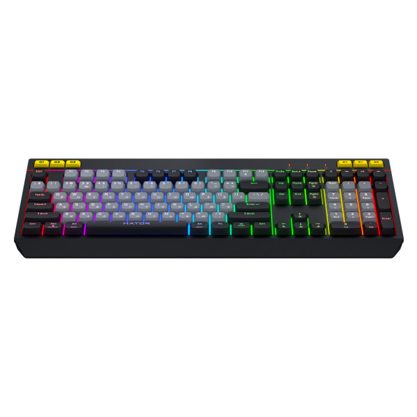 Фото - Клавиатура проводная игровая Hator Icefall USB Black/Gray (HTK401UA)
