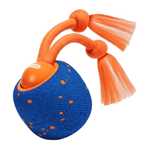 Фото - Интерактивная игрушка для собак Cheerble Wicked Ball Rolly Royal Blue (CWQ07B) Фото - Интерактивная игрушка для собак Cheerble Wicked Ball Rolly Royal Blue (CWQ07B)
