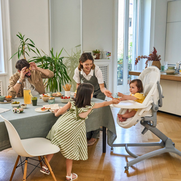 Фото - Колыбель-люлька Chicco 5 в 1 Baby Hug Pro (87076.14)