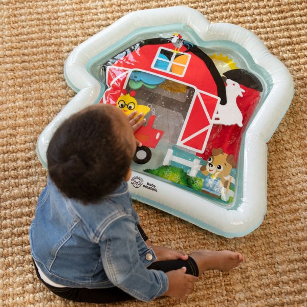 Фото - Развивающий коврик Baby Einstein Cal's Sensory Barn (17559)