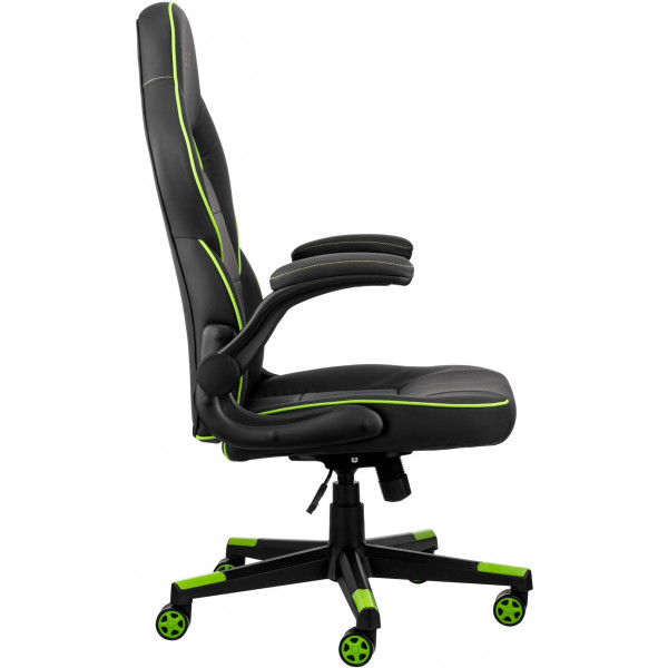 Фото - Кресло для геймеров 2E Hebi Black/Green (2E-GC-HEB-BK)