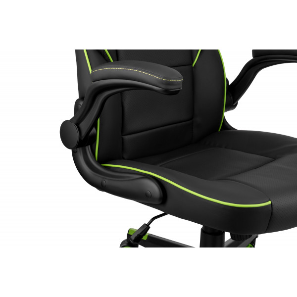 Фото - Кресло для геймеров 2E Hebi Black/Green (2E-GC-HEB-BK)