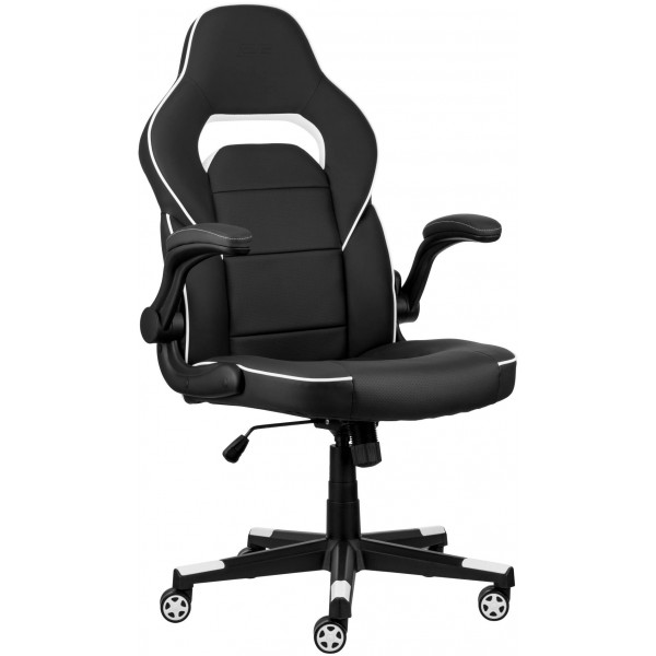 Фото - Кресло для геймеров 2E Hebi Black/White (2E-GC-HEB-BKWT)
