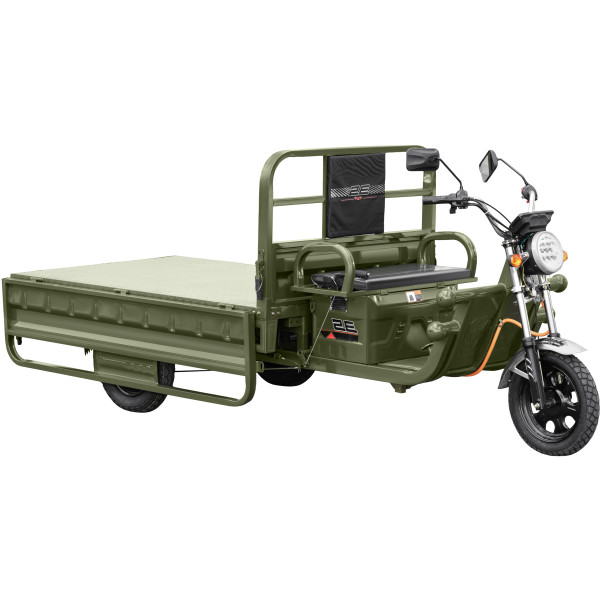 Фото - Трицикл 2E грузовой TCG8 Green (2EESTCG8PLUS)