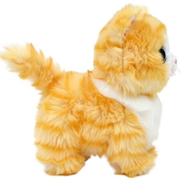 Фото - М'яка іграшка глазастик TY Beanie Babies Руда кішка Мелані 15 см (37410)