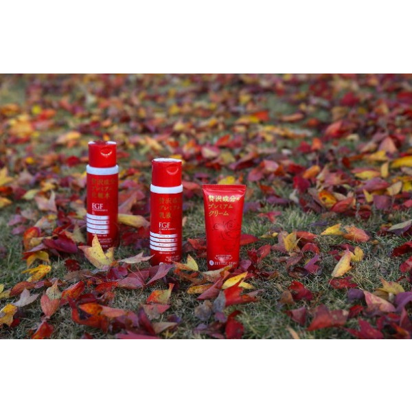 Фото - Крем для обличчя Zettoch Re-Cept Skin Premium Cream 60 мл (4582118951192)