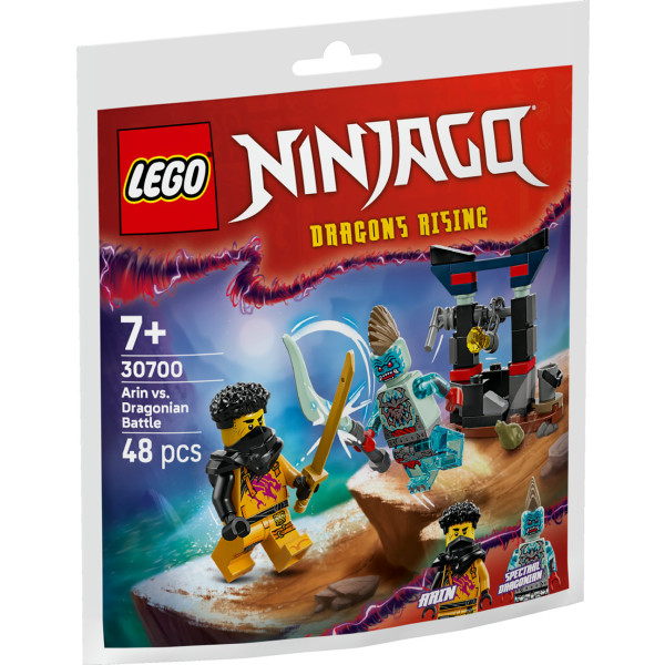 Фото - Конструктор LEGO Ninjago Арін проти Дракона: Битва (30700)