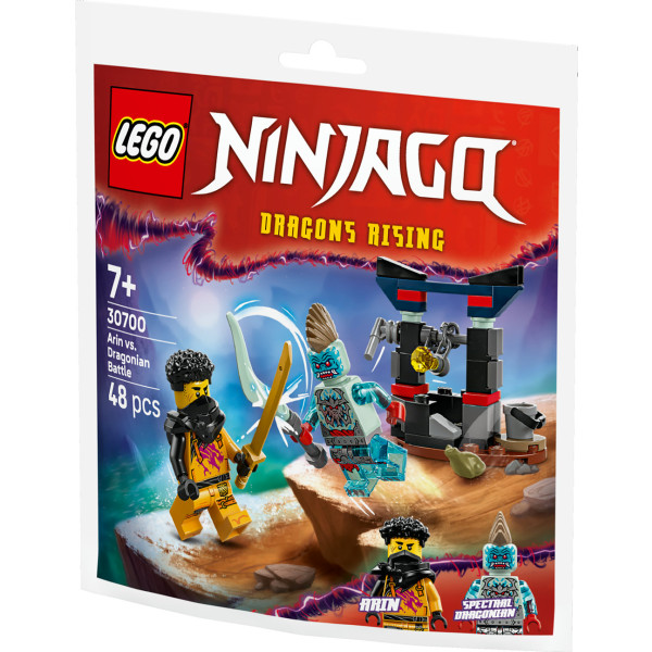 Фото - Конструктор LEGO Ninjago Арін проти Дракона: Битва (30700)