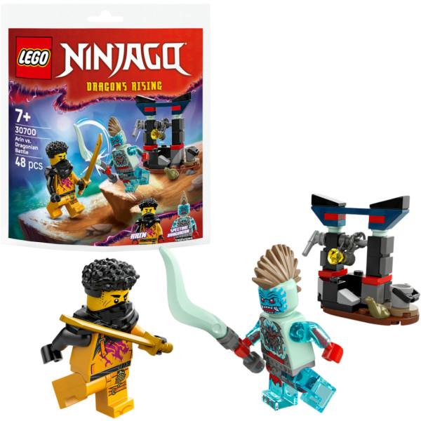 Фото - Конструктор LEGO Ninjago Арін проти Дракона: Битва (30700)