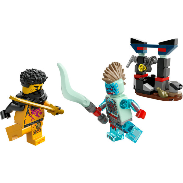 Фото - Конструктор LEGO Ninjago Арін проти Дракона: Битва (30700)