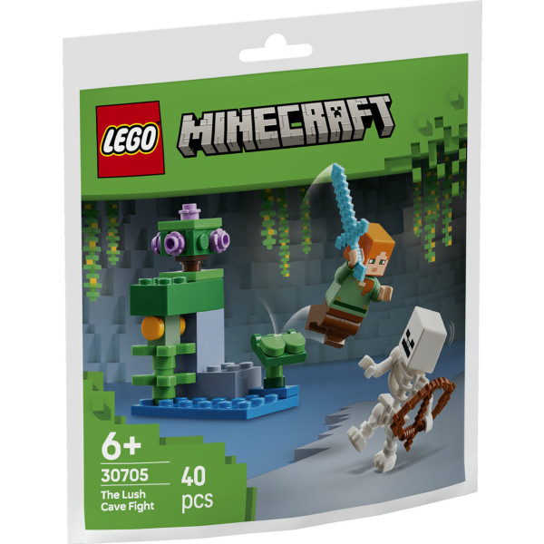Фото - Конструктор LEGO Minecraft Бой в пещере с зарослями (30705)