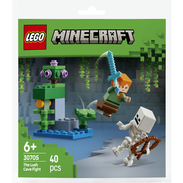Фото - Конструктор LEGO Minecraft Бой в пещере с зарослями (30705)