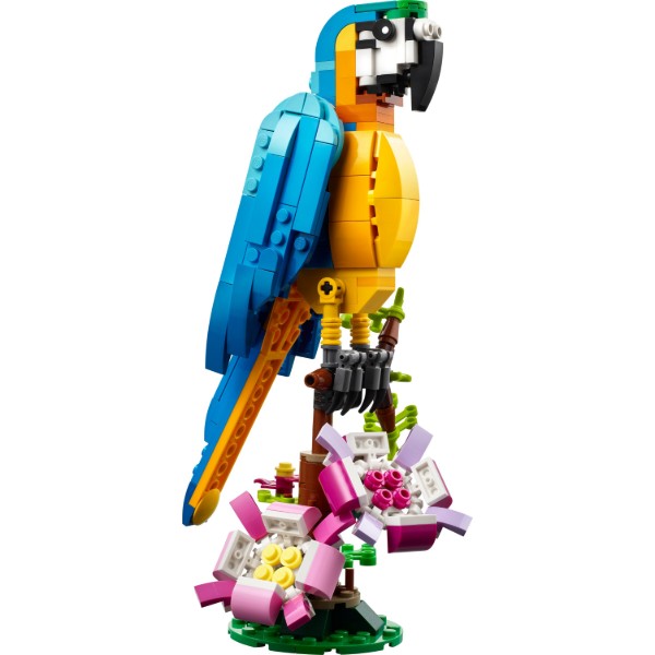 Фото - Конструктор LEGO Creator Екзотичний папуга (31136)