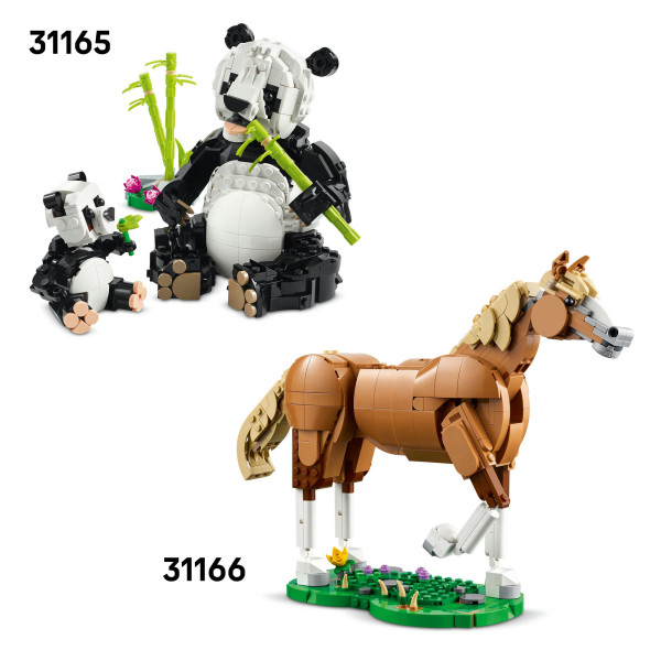 Фото - Конструктор LEGO Creator Дикі тварини: тропічний тукан (31173)