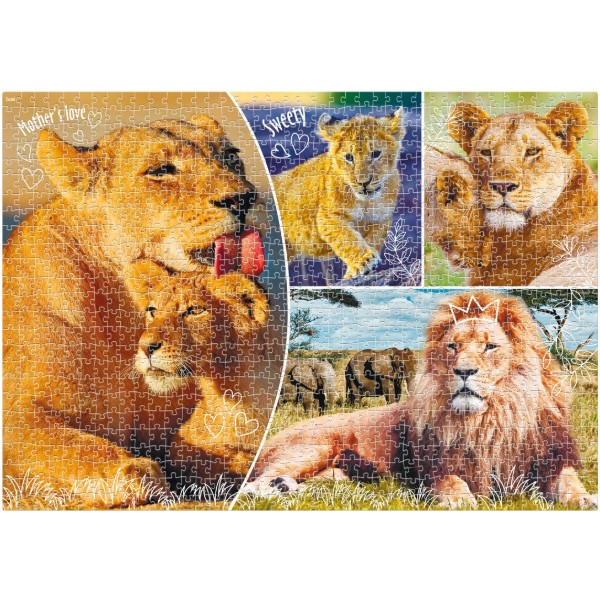 Фото - Пазлы (8+) De.tail «Lion family» (1000 элем.) (DT1000-01)