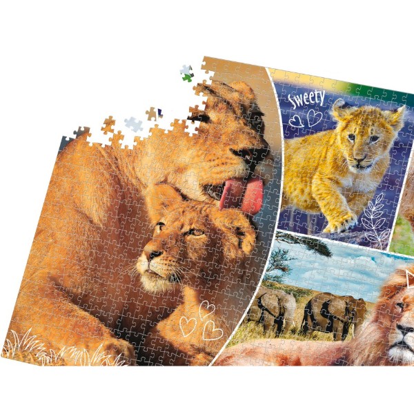 Фото - Пазлы (8+) De.tail «Lion family» (1000 элем.) (DT1000-01)