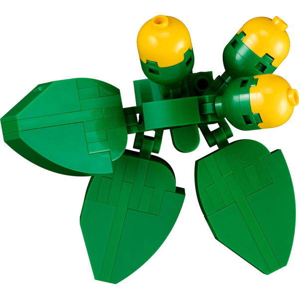 Фото - Конструктор LEGO Art Коллекция фауны - Тигр (31217)