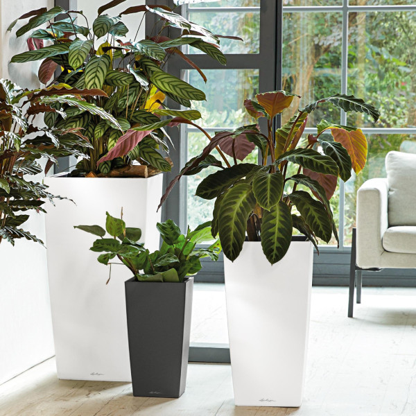 Фото - Вазон Lechuza 40/75 Кубіко Сіро-Коричневий 18215