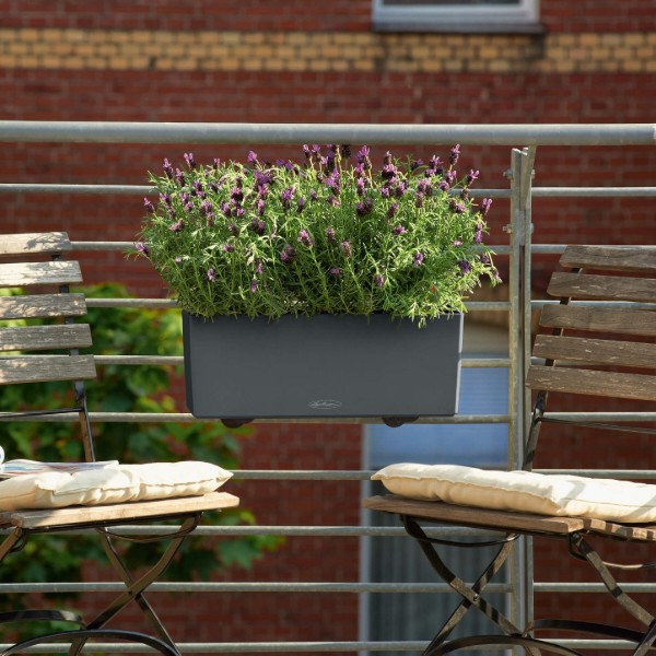 Фото - Вазон Lechuza 50/19/19 Balconera Color сірий 15673