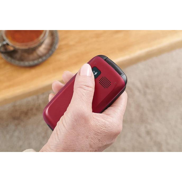 Фото - Мобільний телефон Panasonic KX-TU446EXR Red