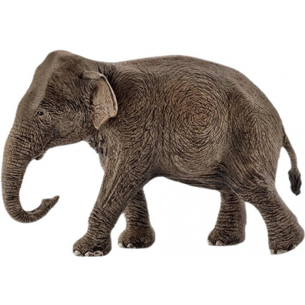 Фото - Фігурки тварини Schleich Індійська слониха (14753)