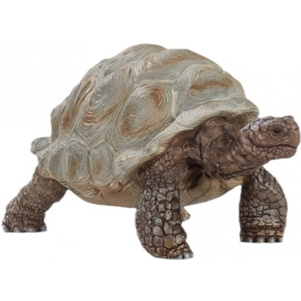 Фото - Фігурки тварини Schleich Гігантська черепаха (14824)