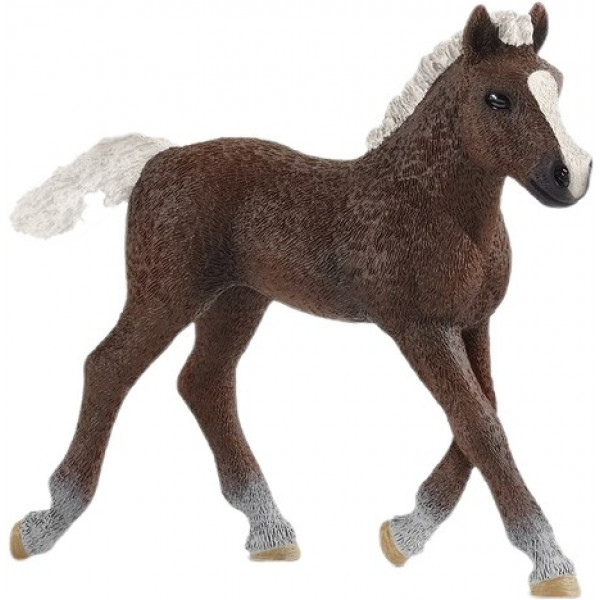 Фото - Фігурки тварини Schleich Шварцвальдське лоша (13899)