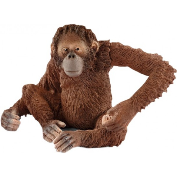 Фото - Фігурки тварини Schleich Самка орангутанга (14775)