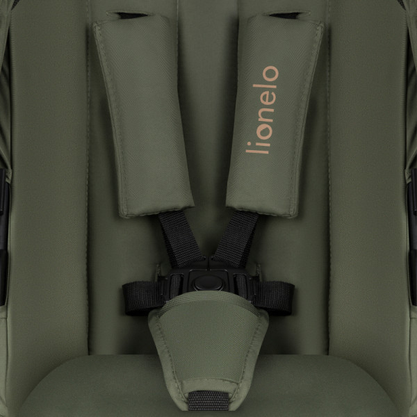 Фото - Коляска універсальна 2 в 1 Lionelo Amber Green Forest