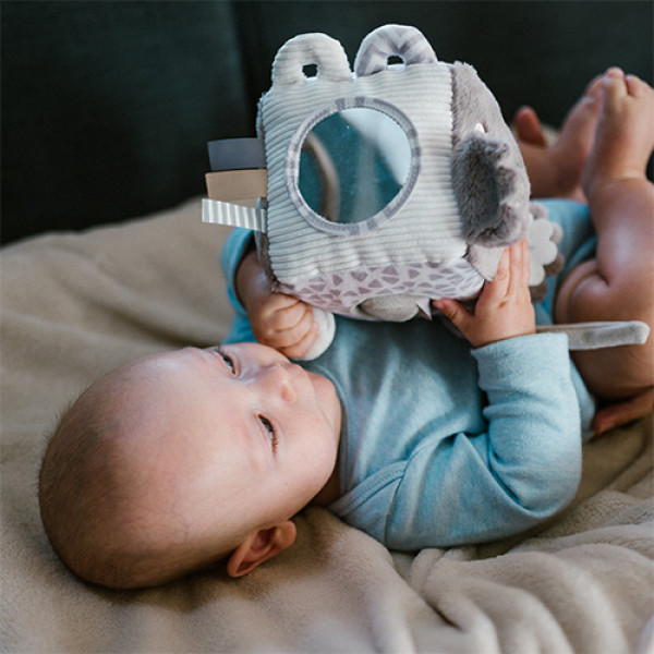 Фото - Кубики BabyOno Коала Коко (1637)