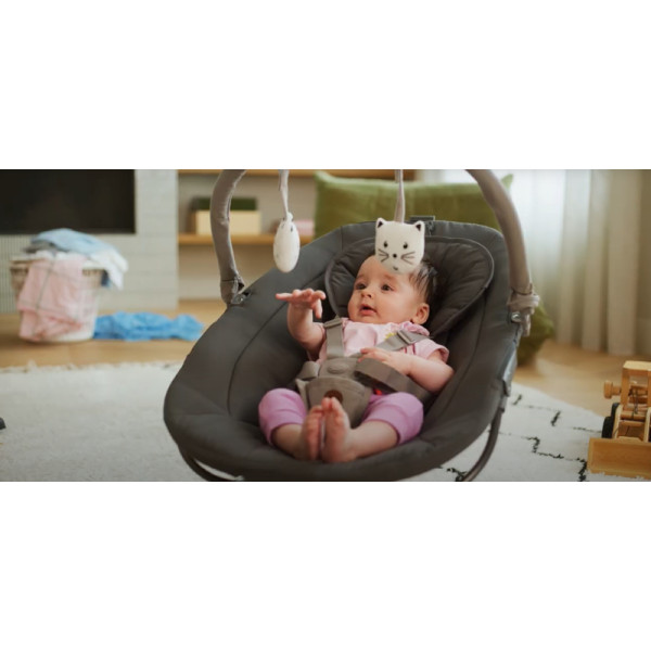 Фото - Крісло-качалка Bebe Confort MELILO Mineral Graphite
