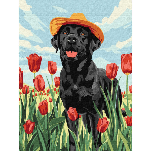 Фото - Картина за номерами Ideyka Чарівний лабрадор 30х40 см (KHO6621)