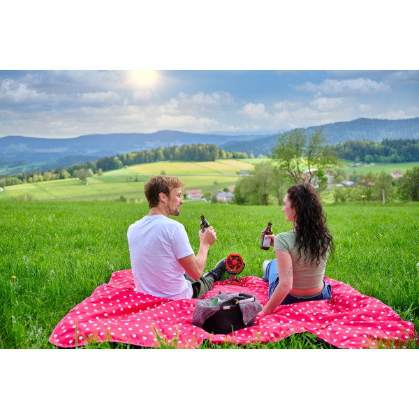 Фото - Вентилятор настільний Einhell GC-CF 18/110 Li - Solo (3408061)