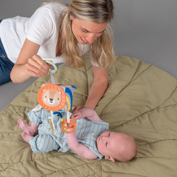 Фото - Підвіска Taf Toys Розвиваюча іграшка-кубик колекції "Саванна" - ВЕСЕЛІ ЗВІРКИ (12755)