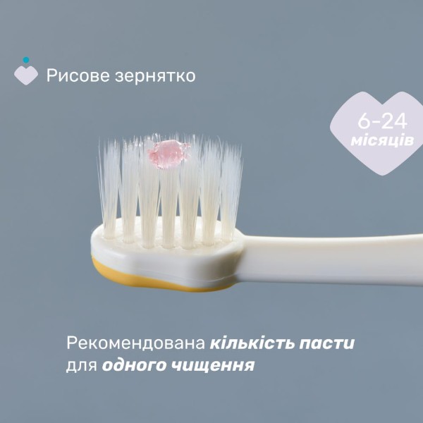 Фото - Зубная щетка мануальная детская Chicco 6-36 мес, 2 шт. (мальчик) (12082.11)
