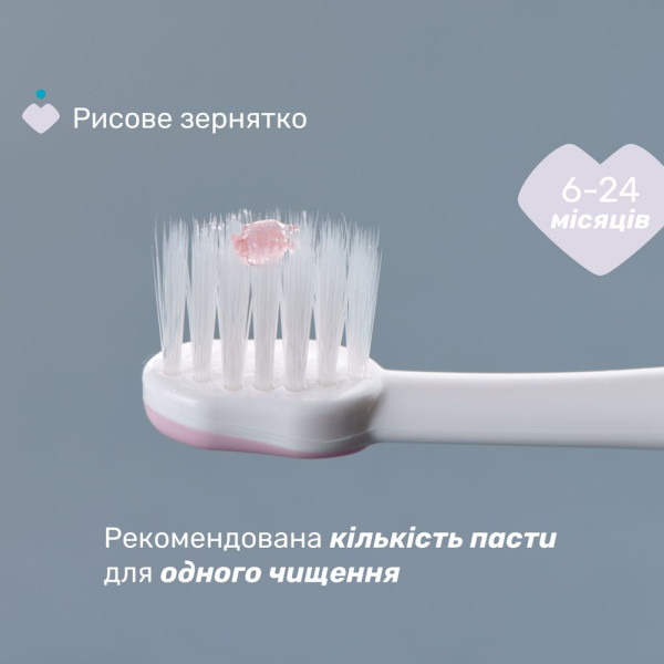 Фото - Зубна щітка мануальна дитяча Chicco 6-36 міс. (дівчинка) (12081.00)