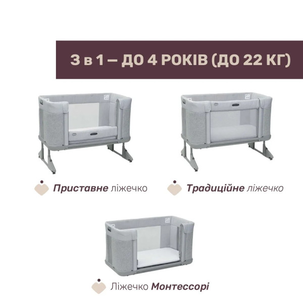 Фото - Ліжечко дитяче прямокутне Chicco 3 в 1  Next 2 Me Forever (79650.61)