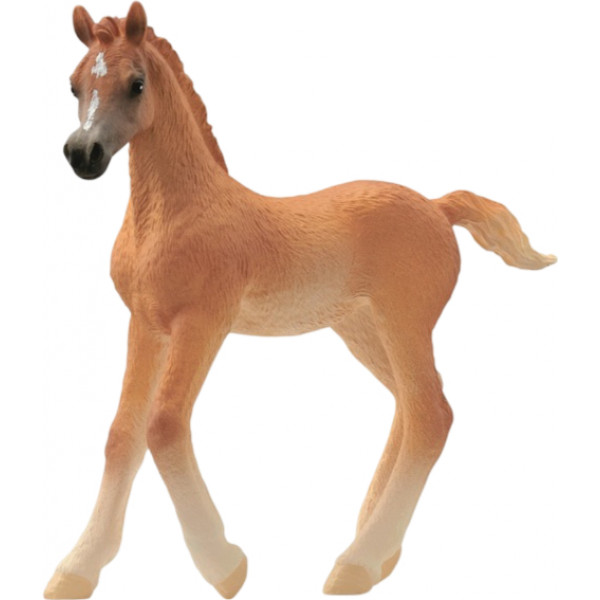 Фото - Колекційна фігурка Schleich Арабське лоша (13984)