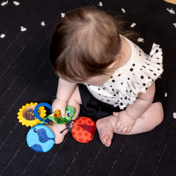 Фото - Подвеска Baby Einstein Touch of Nature (16886)