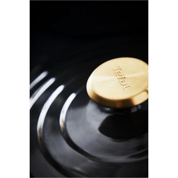 Фото - Кастрюля Tefal E2554404 AIR 3,1 л (20 см)
