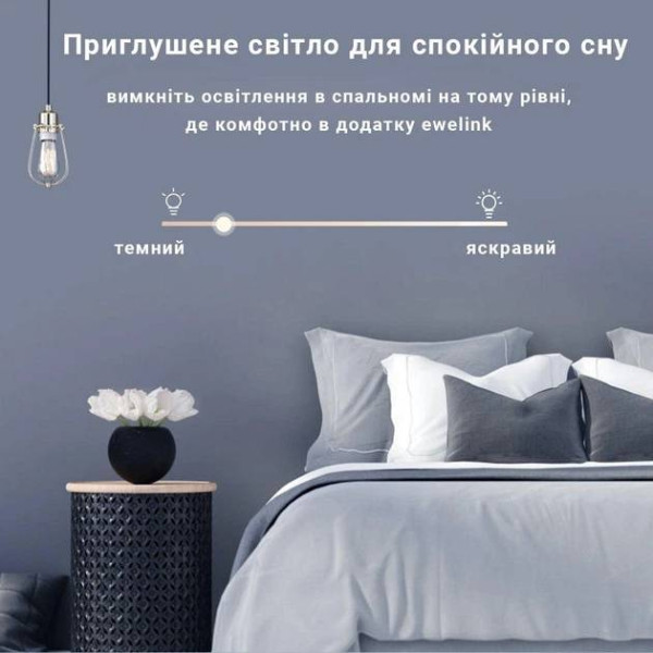 Фото - Умный диммер Sonoff D1