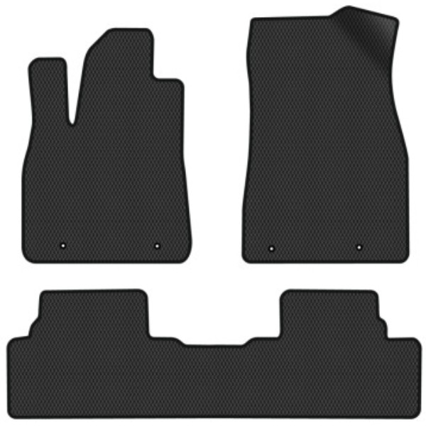 Фото - EVA коврики в салон авто EVAtech для RX 350 (AL10) Lexus 2009-2015 3 поколение SUV USA LS22615Z3LA4RBB