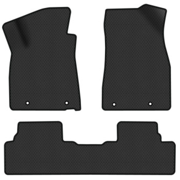Фото - EVA коврики в салон авто EVAtech для RX 450h (AL10) Lexus 2009-2015 3 поколение SUV USA LS23934ZD3TL4RBB