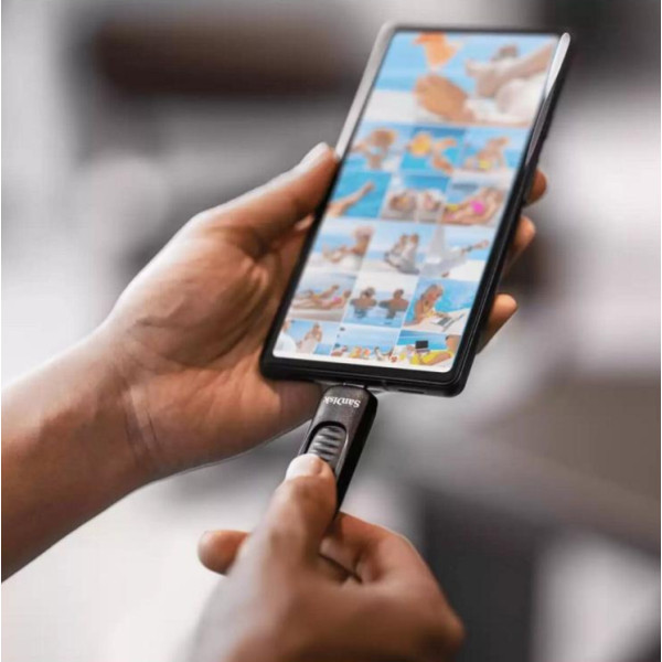 Фото - Флеш USB SanDisk USB-C 128GB (SDCZ480-128G-G46)