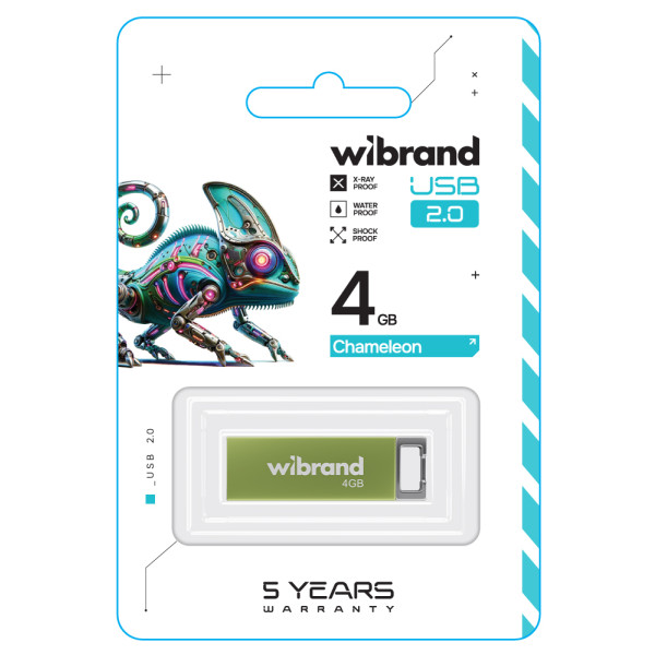 Фото - Флеш USB Wibrand USB 2.0 Chameleon 4Gb Light Green (WI2.0/CH4U6LG)